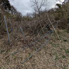 №F437【石川県輪島市門前町】小粒に点在する山林15筆あげます！一部場所不明の土地があります。 - 土地販売/土地売買