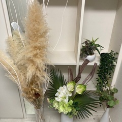 ドライフラワー　＋　フェイクグリーン　セット