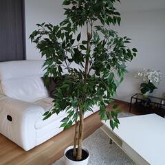 【IKEA】 人工観葉植物 高さ160cm程度　FEJKA フェ...