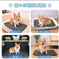 ✨2枚セット✨ペットシーツ 洗える 犬 猫 ペット用 おしっこマット 下敷の画像
