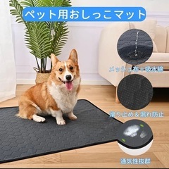 ✨2枚セット✨ペットシーツ 洗える 犬 猫 ペット用 おしっこマット 下敷の画像