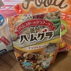 ハムスターゲージ　セットの画像