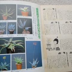 アロエの本の画像