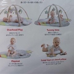 スキップホップ　プレイジムの画像