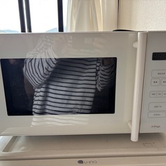 電子レンジ