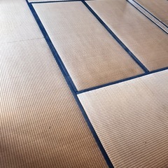 0円！畳あげます！16枚あります！好きな枚数お譲りします