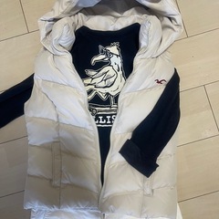 ホリスターtシャツの画像