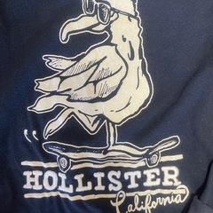 ホリスターtシャツの画像