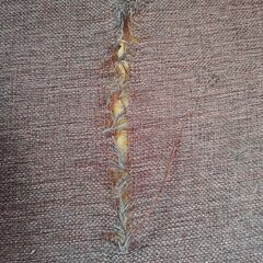 ３人がけソファ　オットマン　レイアウト自在モジュール　⚠️訳あり　の画像