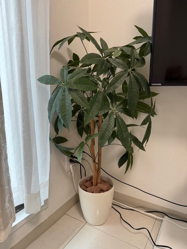 【観葉植物】フェイクグリーン