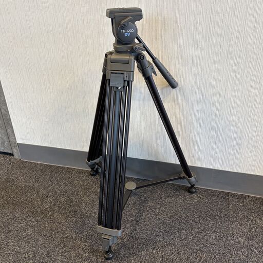 ヘラクレスオオカブト 140mm 標本（C21.標本用死虫ヘラクレス