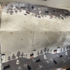 パナソニック2畳用ホットカーペット､カバー付きの画像