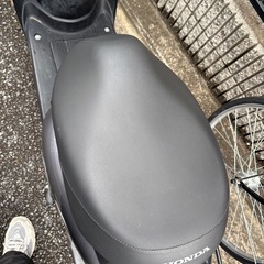 ホンダトゥデイAF67の画像