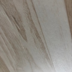 こたつ3／23までの画像