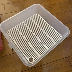 大人数用ピクニックお弁当箱の画像