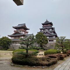 一緒に桜を見に行きましょう。私は京都伏見に住んでいます。 - 京都市