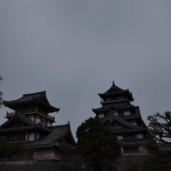 桜の季節に遊びましょう！ - 友達