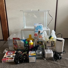 メダカ　魚飼育セット　水槽
