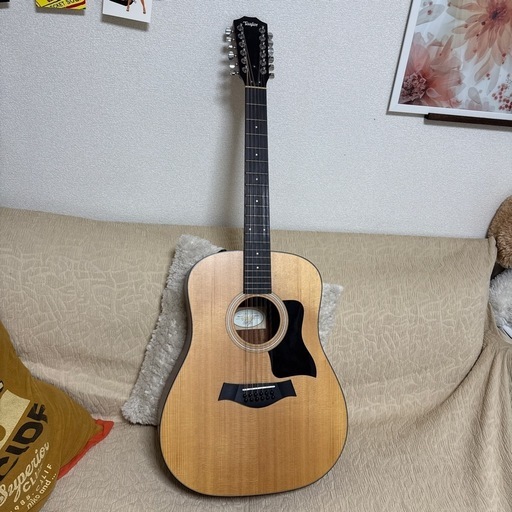 3月中　Taylor 150e 12弦