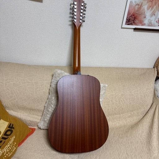 3月中 Taylor 150e 12弦