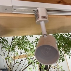 ライト　の画像