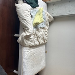 ベット