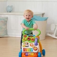 
VTech シットトゥスタンド学習ウォーカーの画像