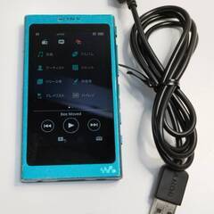 SONY ウォークマン NW-A35/16GBの画像