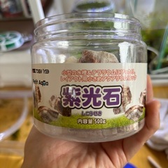 交換も歓迎！ウィローモス 溶岩石の画像