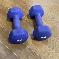 ダンベル 5 kg (状態悪)