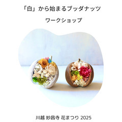 川越妙昌寺 花まつり 『白から始まるブッダナッツ』ワークショップ