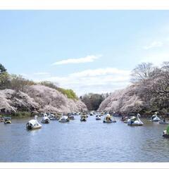井の頭公園お花見お写ん歩会