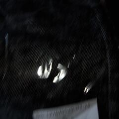 ハイウエスト　キュロット　冬物の画像