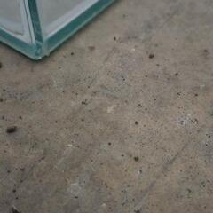 30キューブ水槽の画像