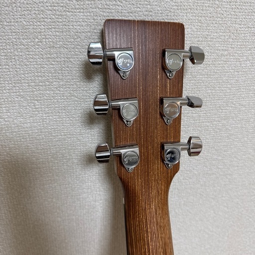 3月中　Martin DX420