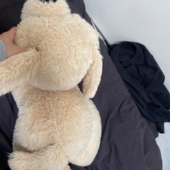 コストコのぬいぐるみ(シミ汚れ無)の画像