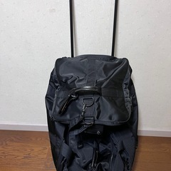 ラゲッジ レーベル　吉田鞄　キャリー　の画像