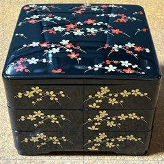 引越し片付け中　重箱　３段　24㎝