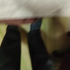 タイガー圧力IH炊飯ジャーの画像