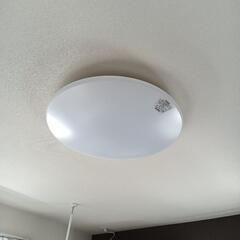 luminous　LED シーリングライト　の画像