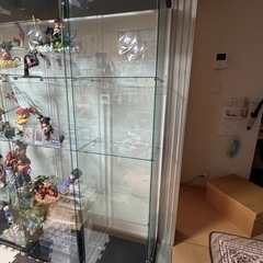 ガラスケース コレクションケース