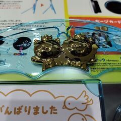 写真立て、賞状額の画像