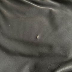 無印良品ビーズクッションの画像