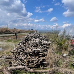 薪　（柿の木）軽トラ山盛り積み放題