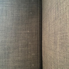 【4/5.6引取り希望】IKEA ソファベッドの画像