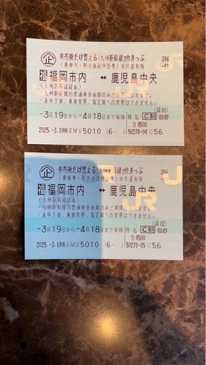 新幹線往復チケット