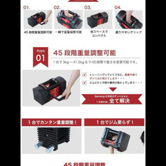 可変式ダンベル　40kg セットの画像