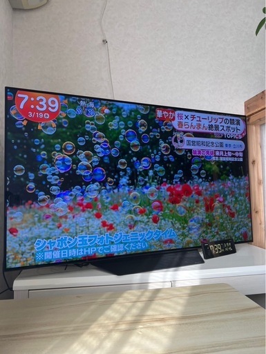 有機EL   55インチ　