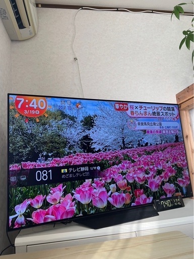 有機EL   55インチ