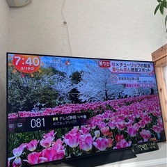 有機EL   55インチ　